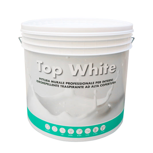 C.ARREGHINI Pittura murale per interno Murival Top White Attrezziamoci  Attrezziamoci